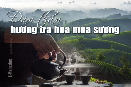 [E-Magazine]: Đằm thắm hương trà hoa mùa sương